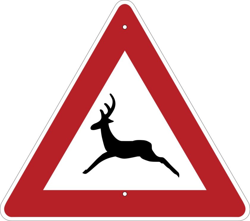 Предупреждающие знаки Дикие животные