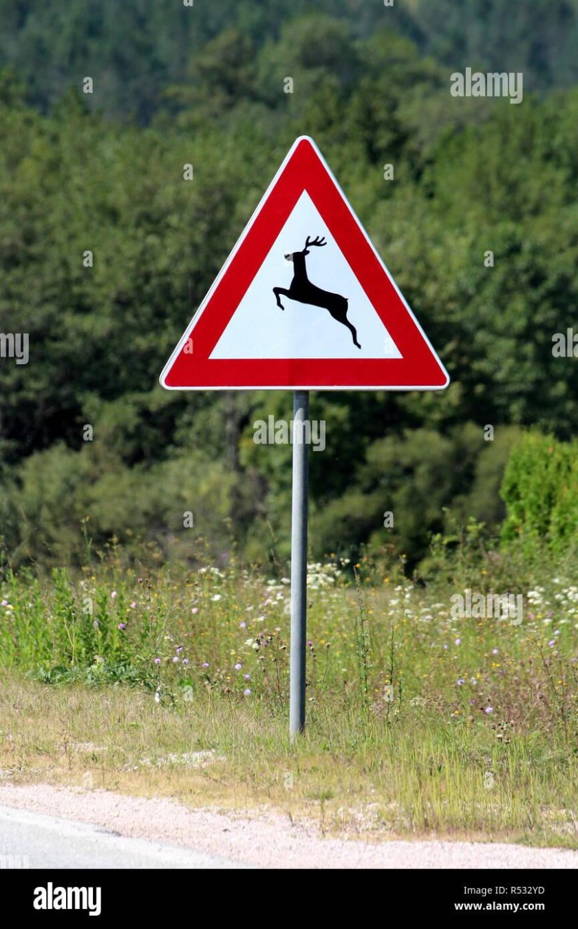Знак олени на дороге