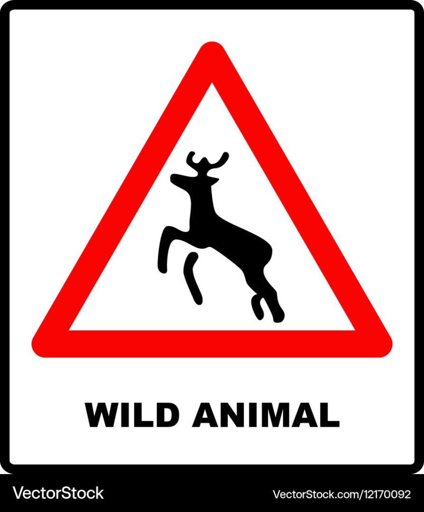 Дорожный знак олень в треугольнике