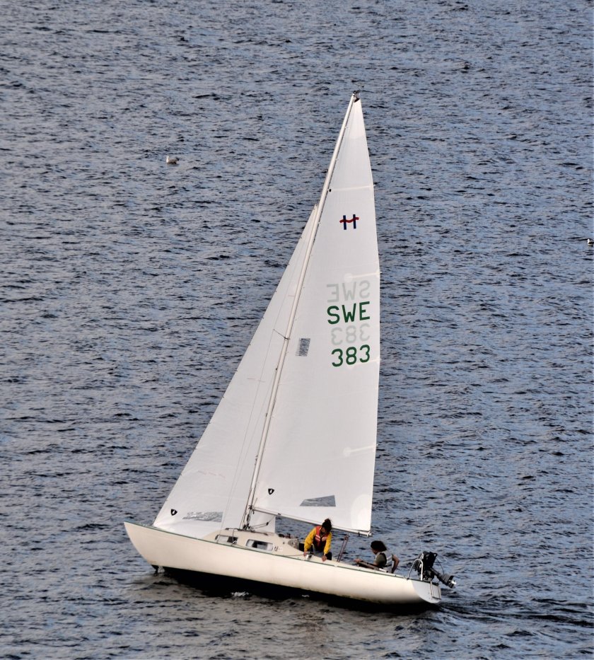 Стаксель Генуя