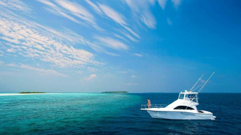 Красивые яхты