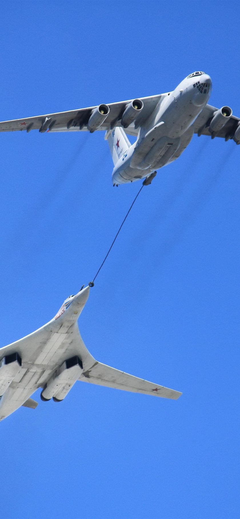 Белый лебедь бомбардировщик