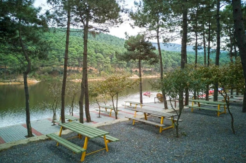 Hartra Ormani Турция