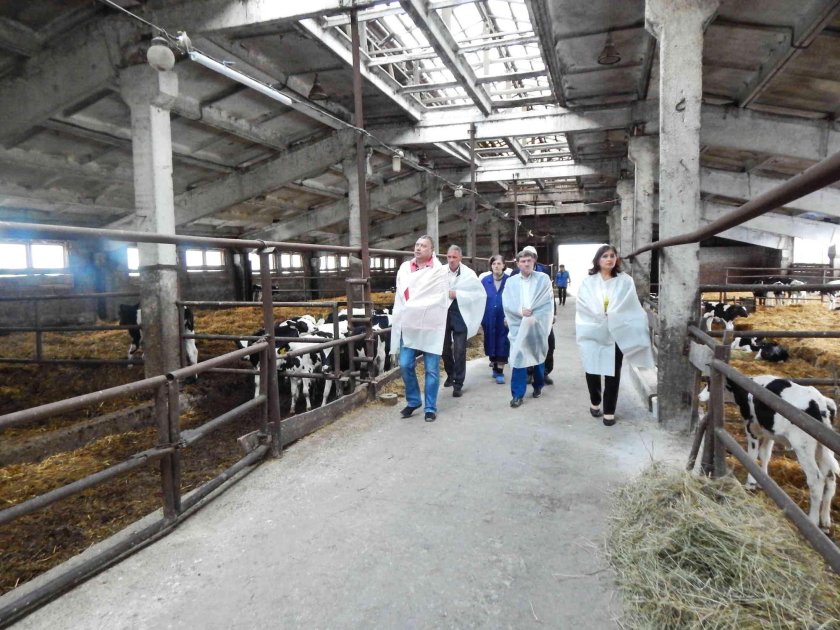 Транспневматика