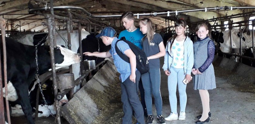 Транспневматика Первомайск Нижегородской области