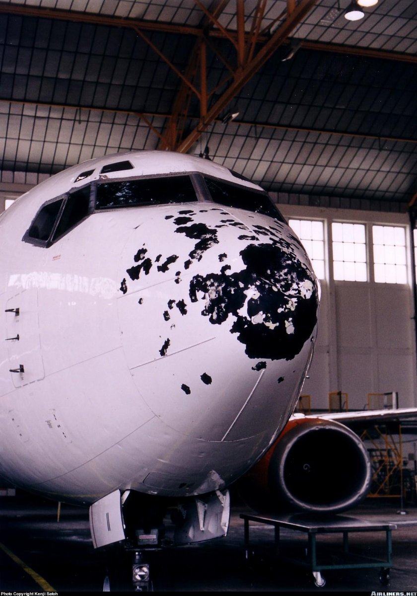 Radome на самолете