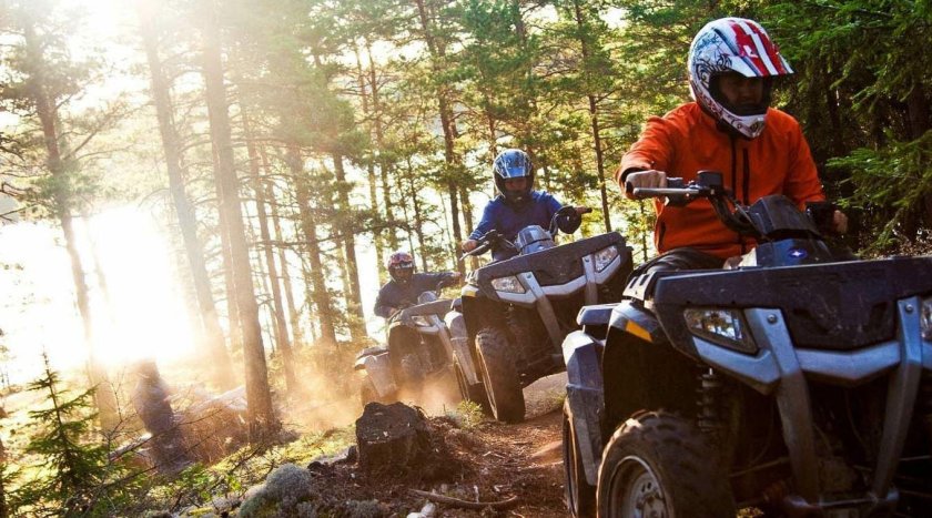 Сафари на квадроциклах