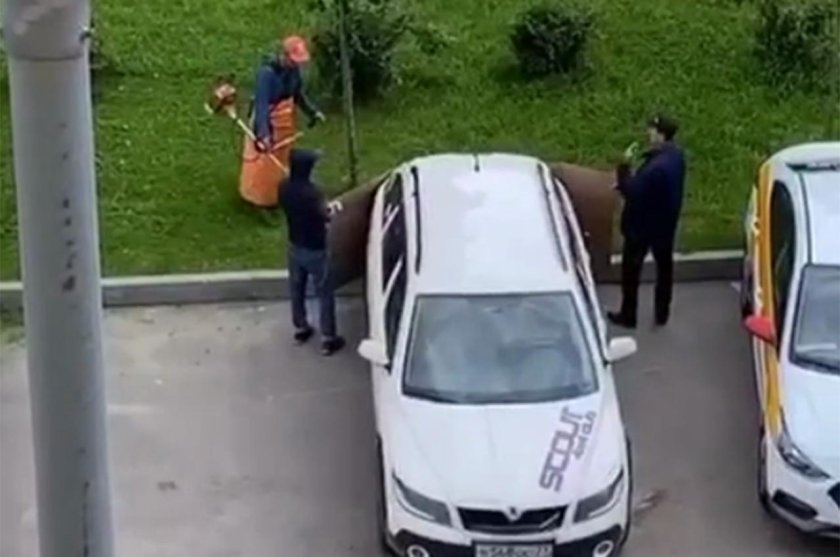 Косят траву возле машины