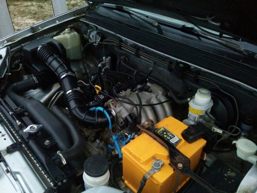 Подкапотное пространство вингл5