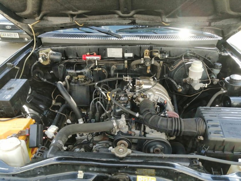 Грейт вол дир