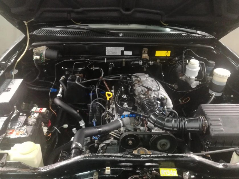 Грейт вол дир