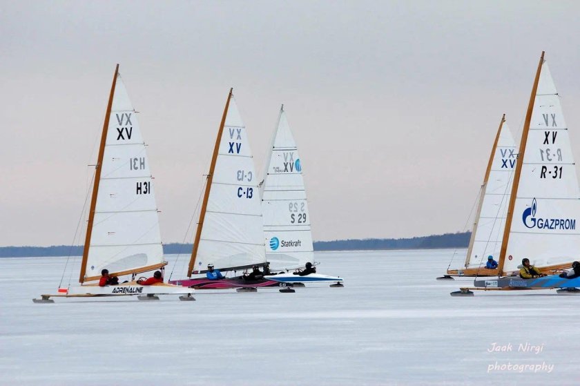 Буер монотип 15