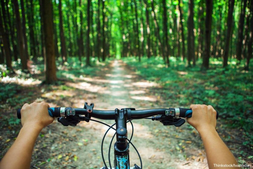 Велосипед в лесу