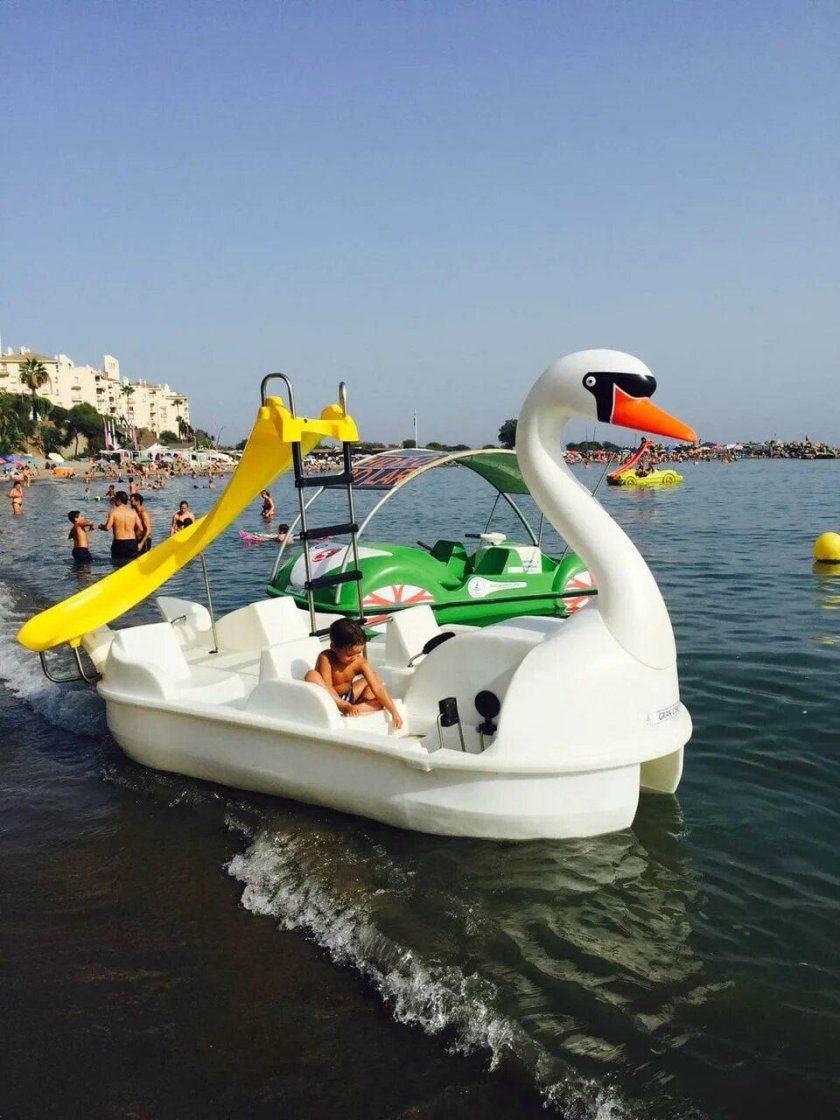 Катамаран лебедь