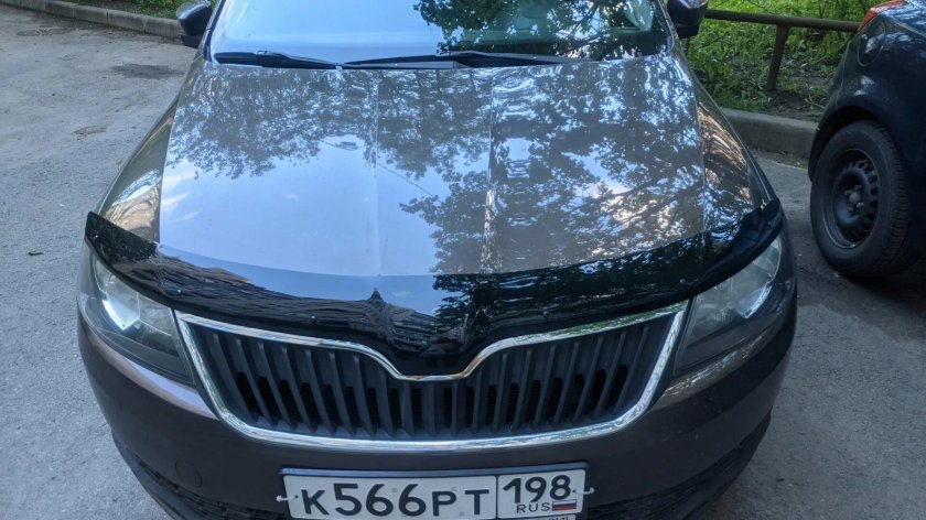 Дефлектор капота skoda rapid