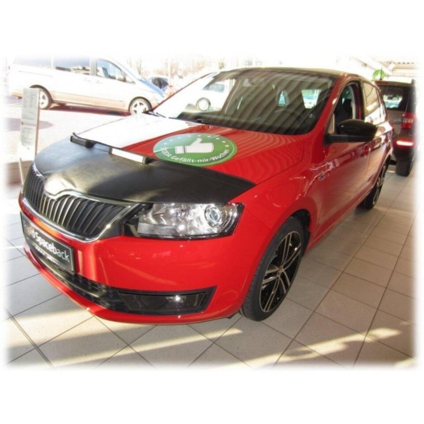 Мухобойка Шкода Рапид 2021