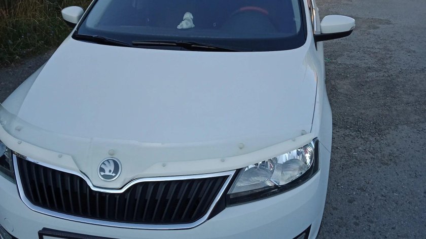 Дефлектор капота Шкода Рапид 2021