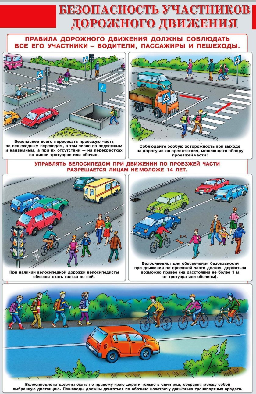 Безопасность дорожного движения (БДД)