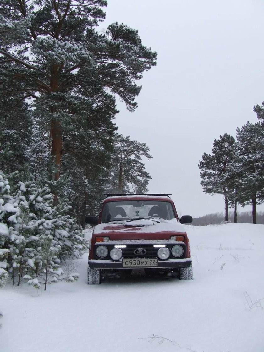 Тепло в Ниве зимой