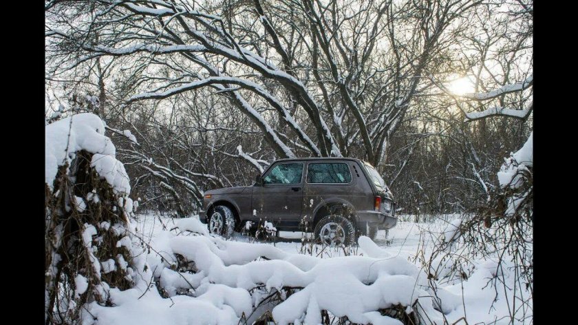 Нива в деревне зимой