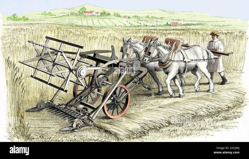 Сеялка 19 век