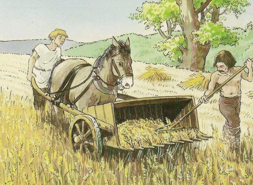 Галльская жнейка