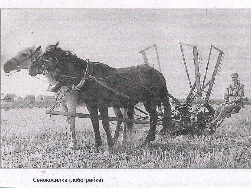 Жатка лобогрейка