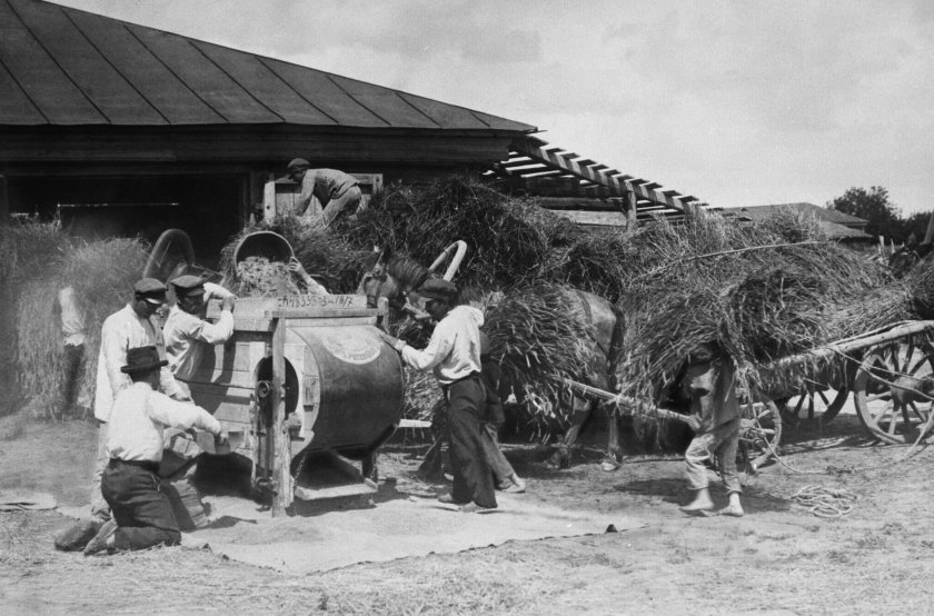 Молотьба пшеницы 19 век