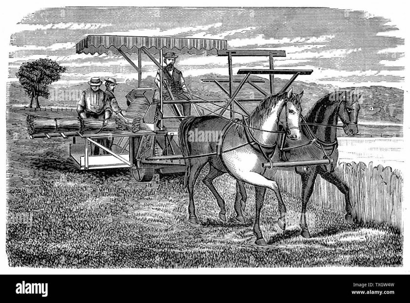 Сельское хозяйство гравюра