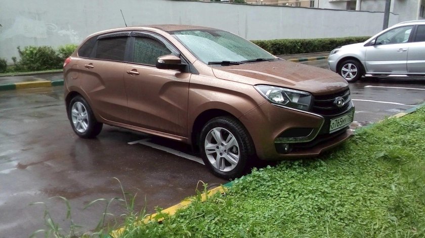 Цвет Пума Лада х Рей