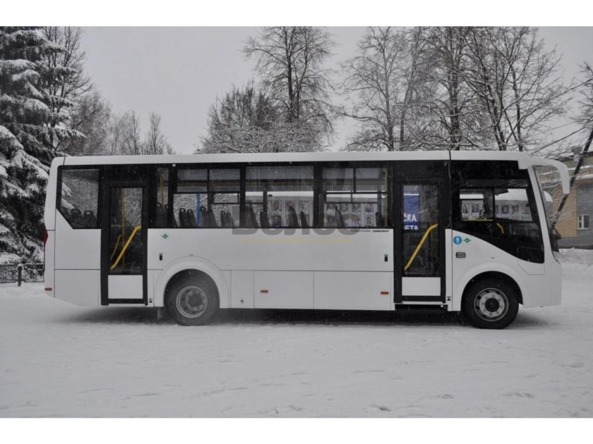 ПАЗ-320455-04 "vector next"