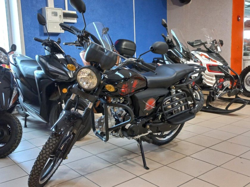 Альфа регул мото