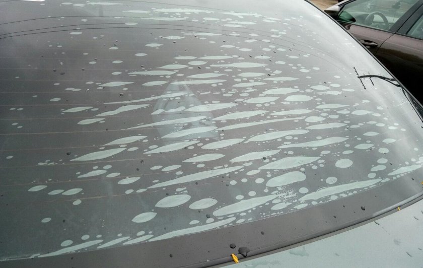 Тонировка заднего стекла