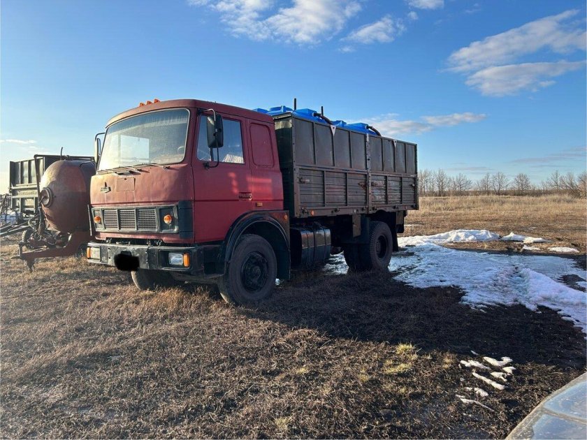 Маз 53371 зерновоз