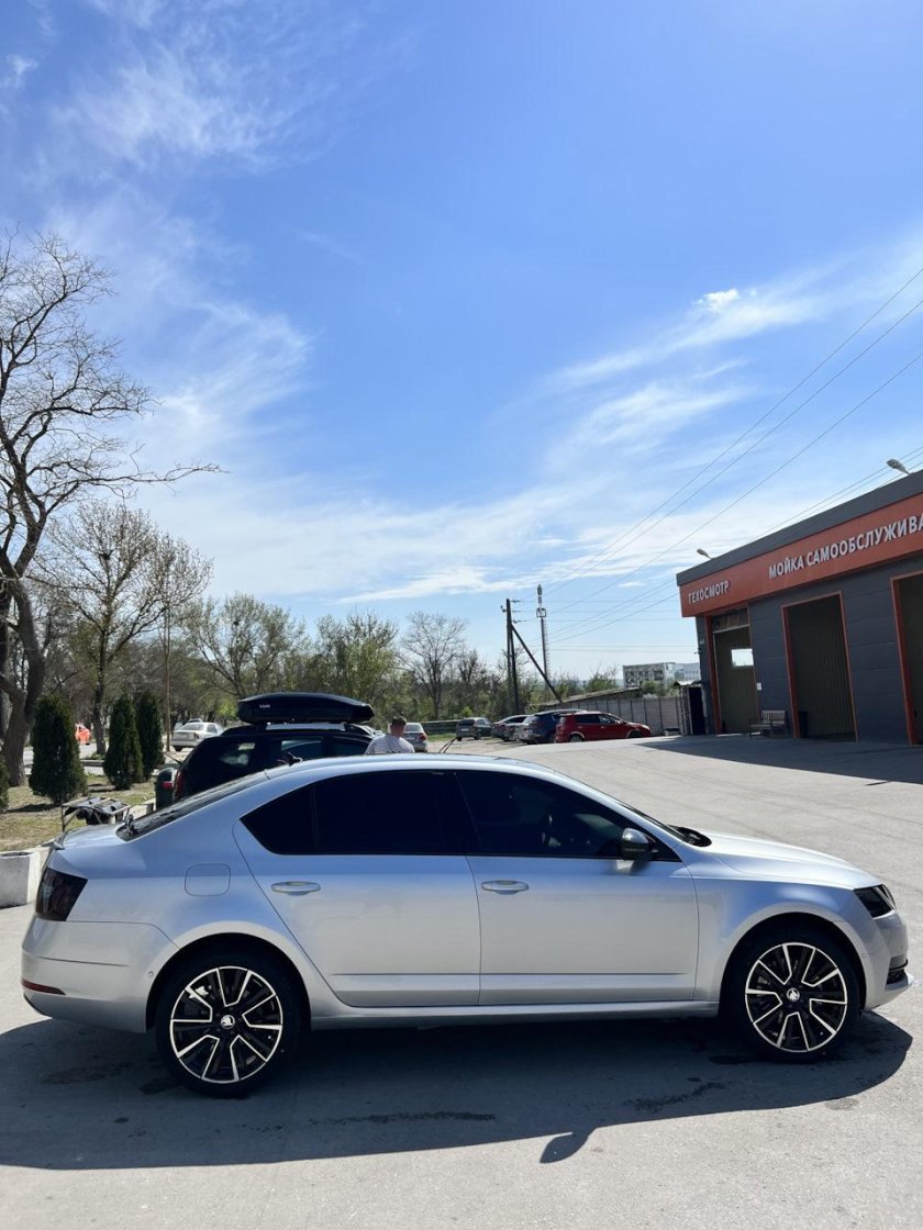 Белая Шкода Октавия 2019 на дисках