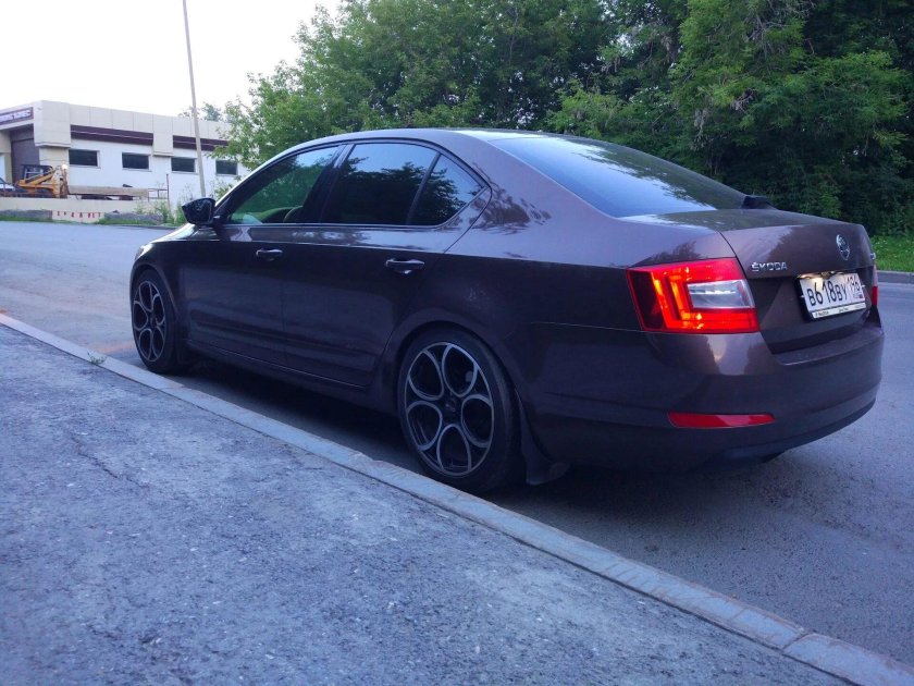 Octavia a7 занижение