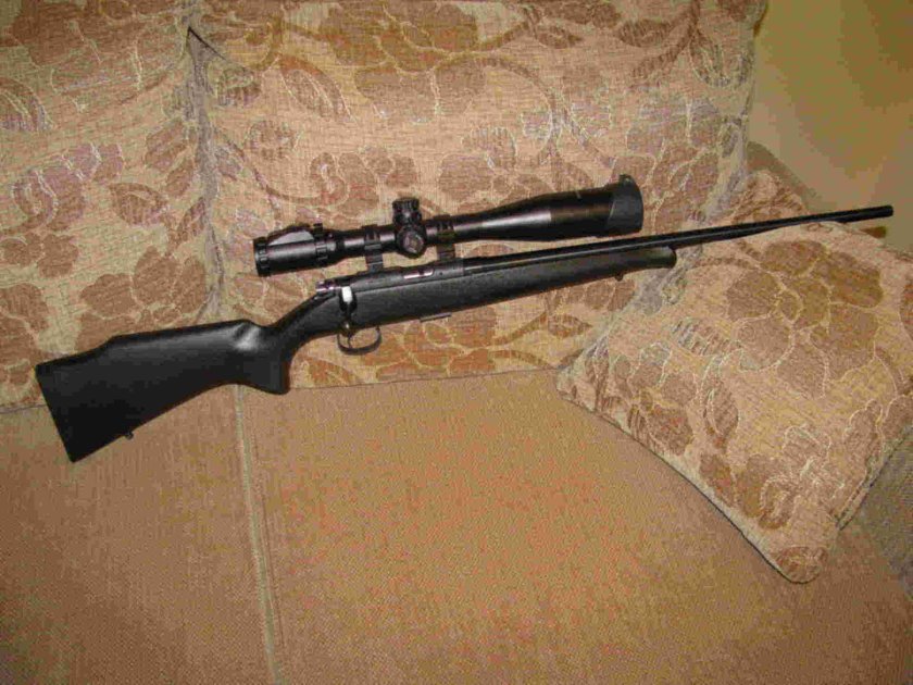 Ложе для cz 452