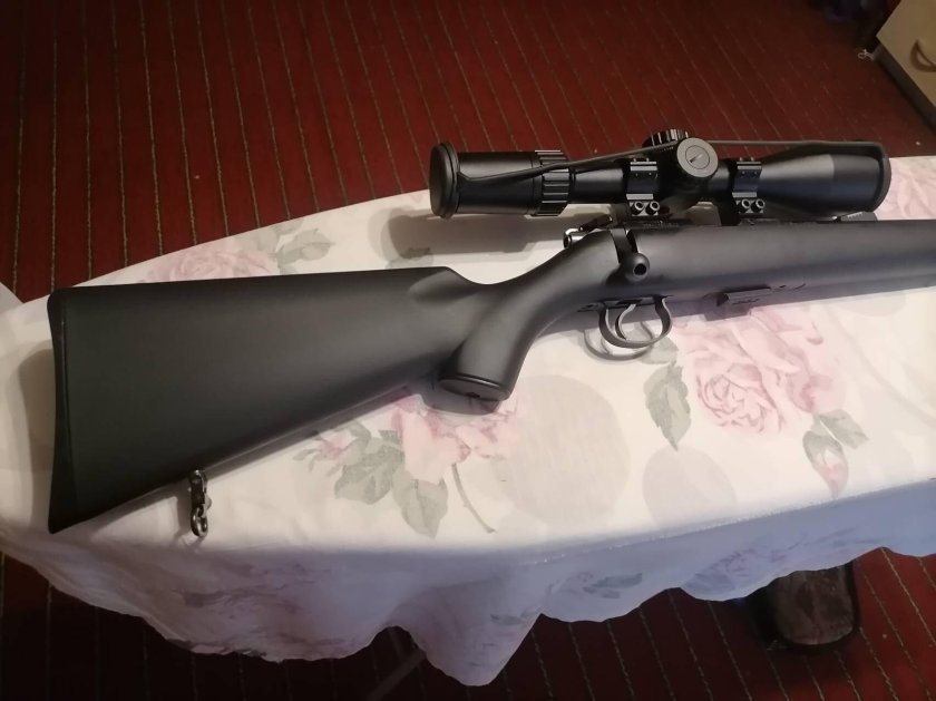 Cz 455 professional