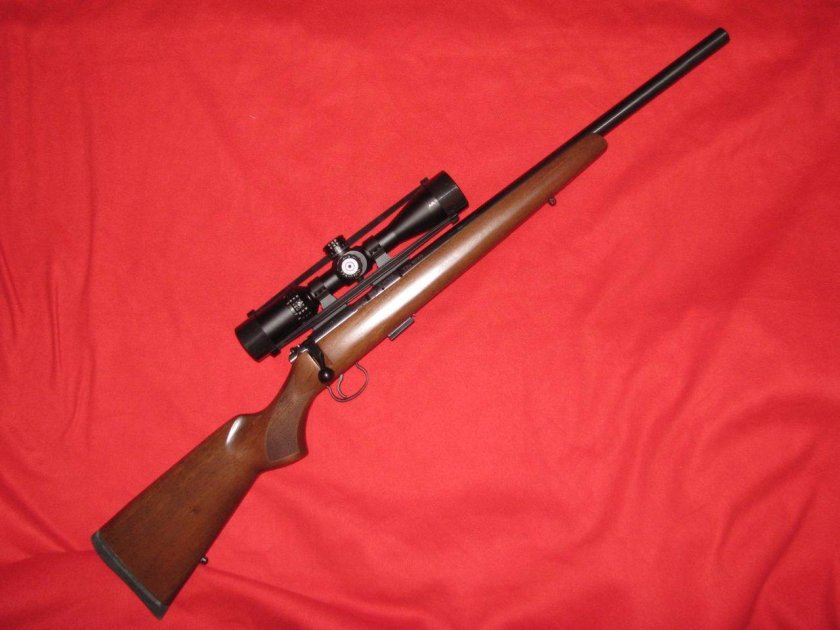 Cz 455 Varmint