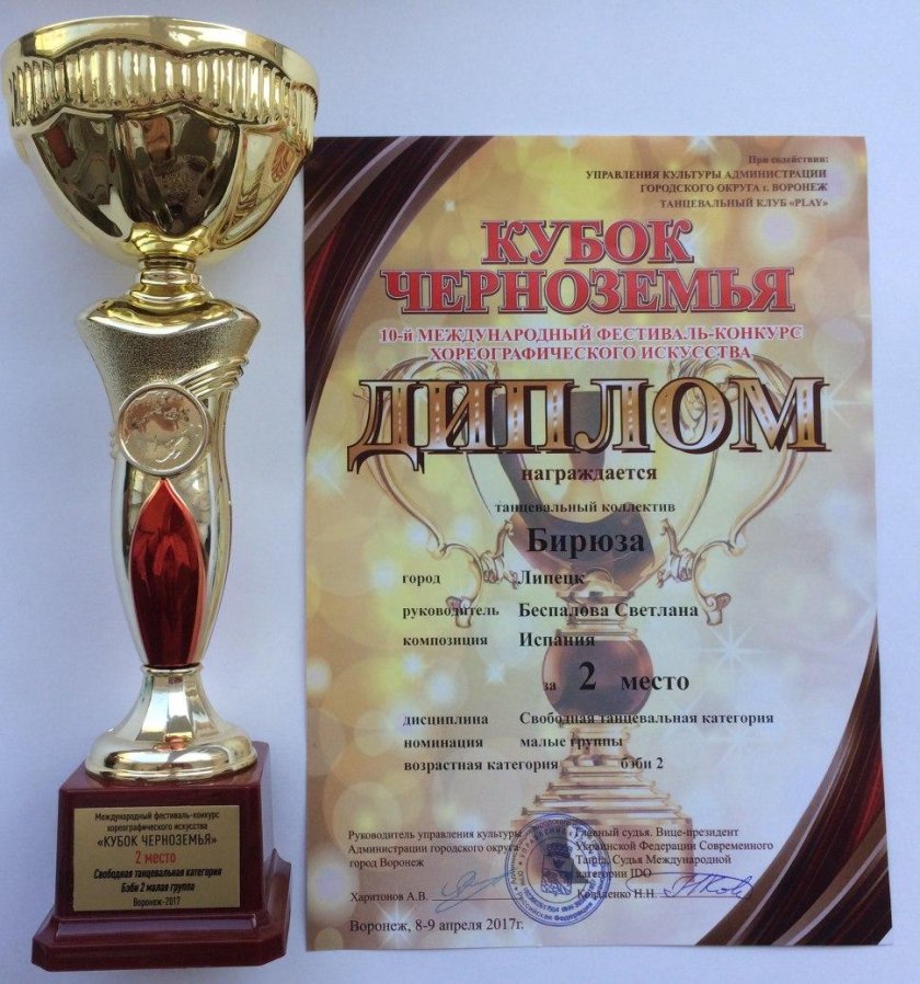 Воронеж Кубок Черноземья