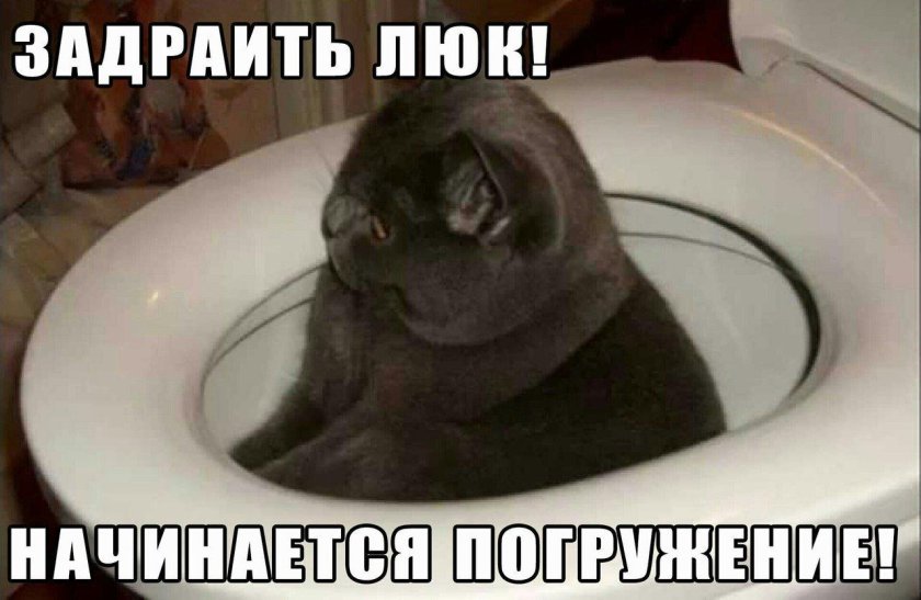 Задраить люки