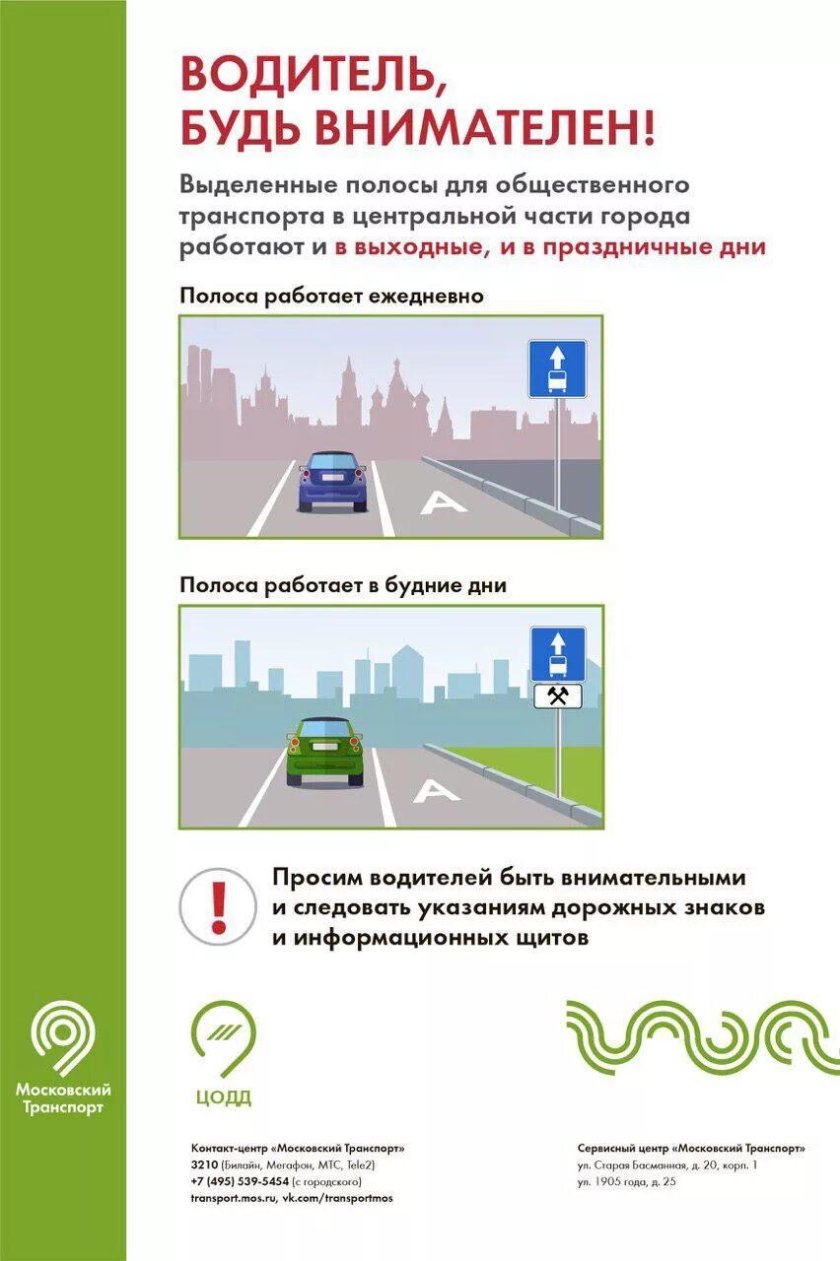 Знак выделенная полоса для общественного транспорта