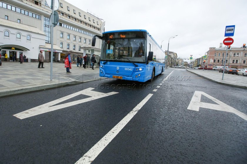 Выделенная полоса для автобусов