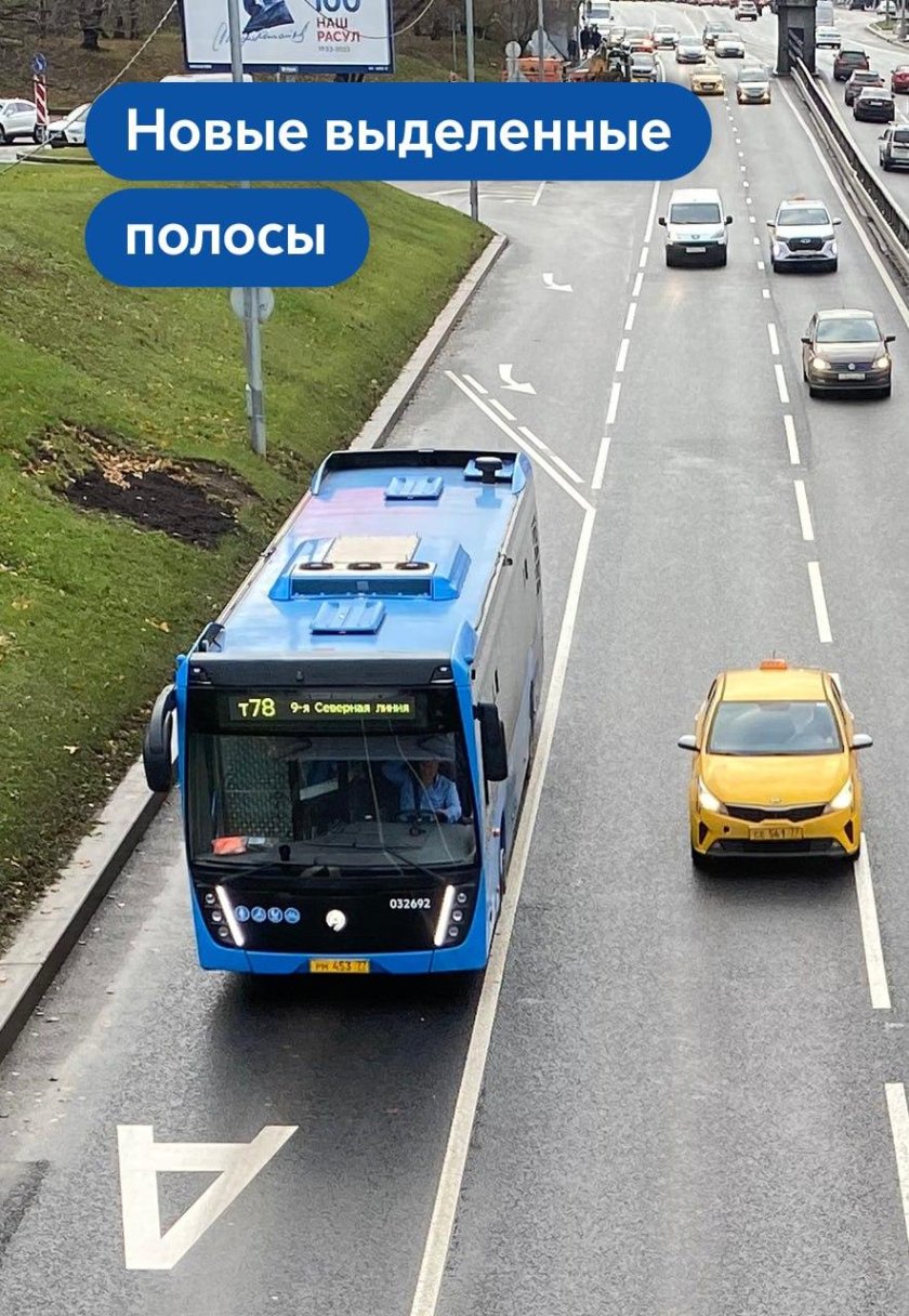 Выделенная полоса