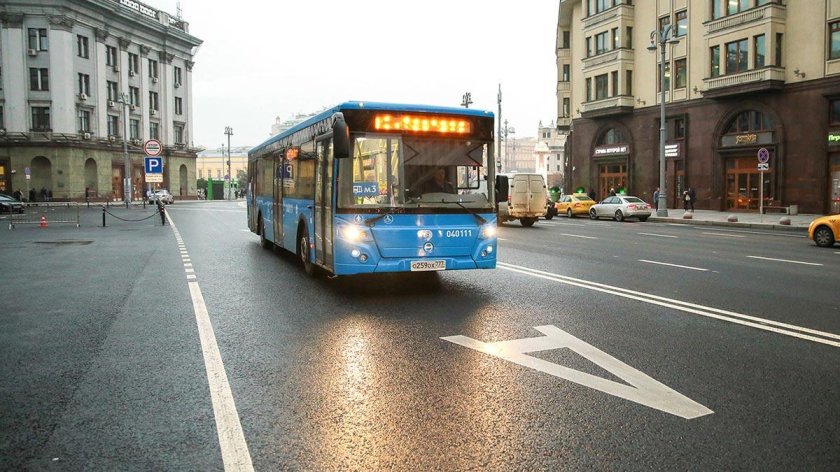 Выделенная полоса транспорта