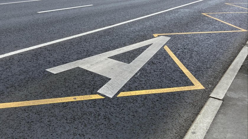 Выделенная полоса