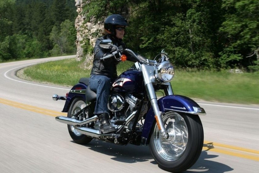 2006 Harley-Davidson FLSTI