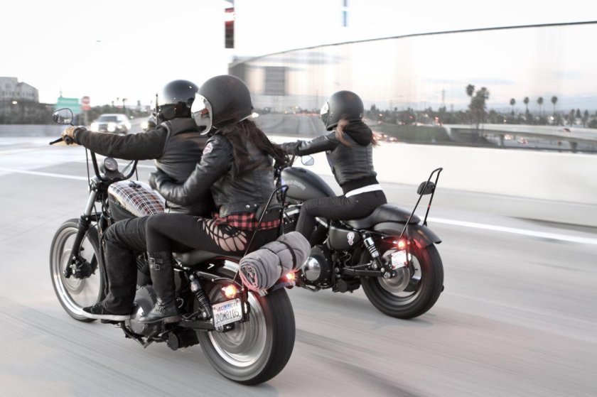 Harley Davidson Sportster sissy Bar