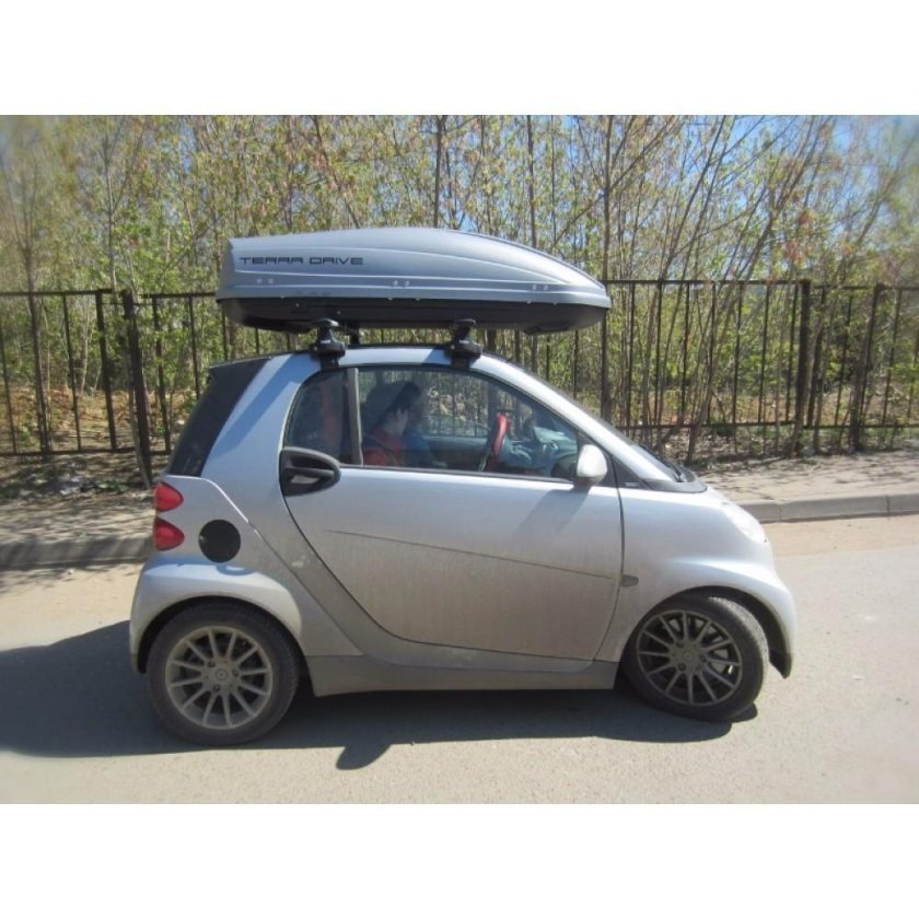 Багажник на крышу смарт 453