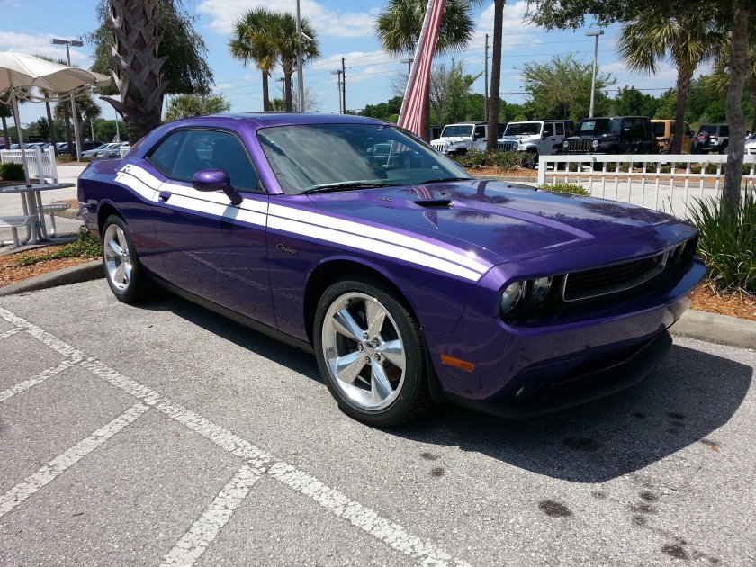 Challenger Plum